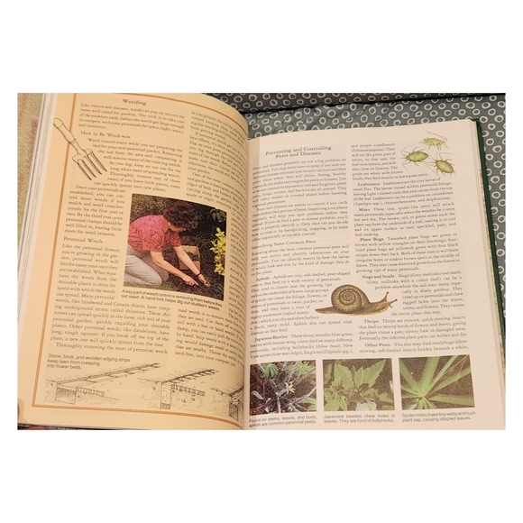 Rodale's Successful Organic Gardening: Perennials - Picture 9 of 10